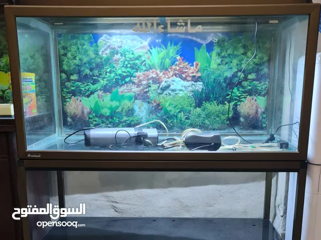 Big aquariam for urgent sale