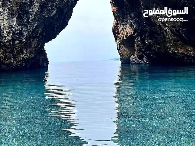 معتز سامي علي عنقاوي