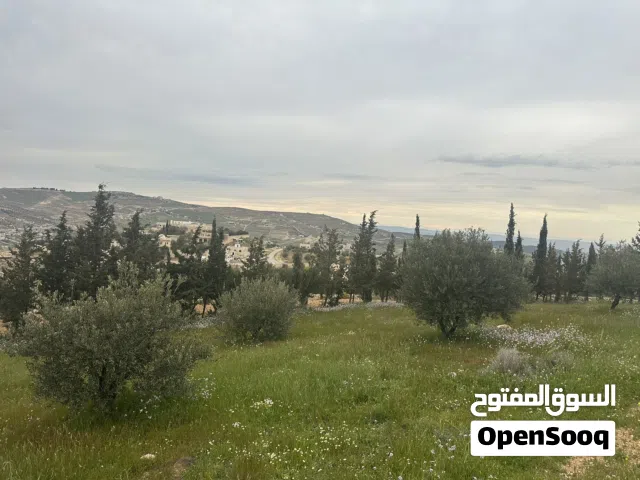 Residential Land for Sale in Amman Shafa Badran