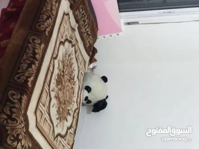غرفة نوم بناتي