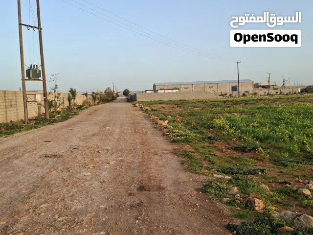 عرض حصري البيع كاااااش 2هكتار في الفيض موقع ممتاز جدأ تبعد 150متر القطران الفرعي الداخلي  الواجها 10