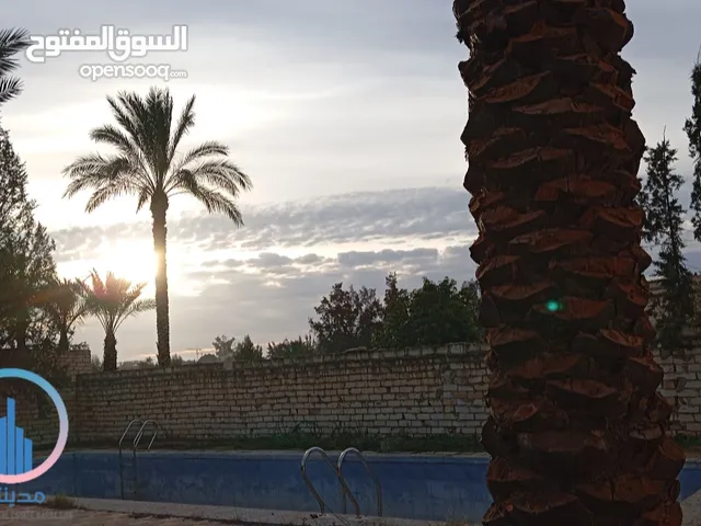 قطعة ارض واسعة ربي يبارك 8 الآلاف متر طريق المطارالرئيسي بالقرب من مطار طرابلس الدولي