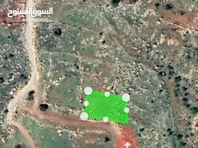 ارض في دورا في منقطه العالميه تصنيف (B) لتواصل