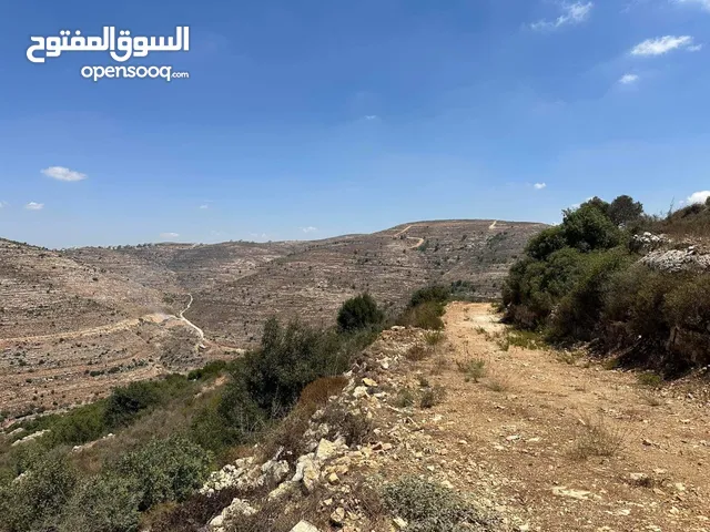 Mixed Use Land for Sale in Ramallah and Al-Bireh Atara