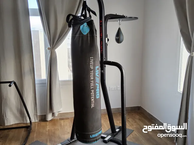 Boxing bag and stand