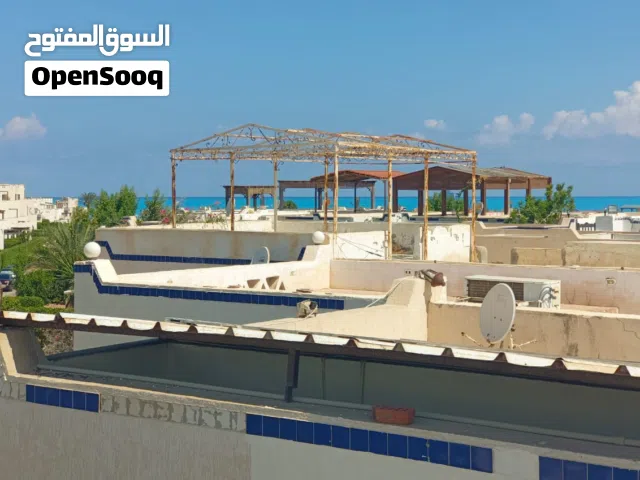 3 Bedrooms Farms for Sale in Matruh Alamein