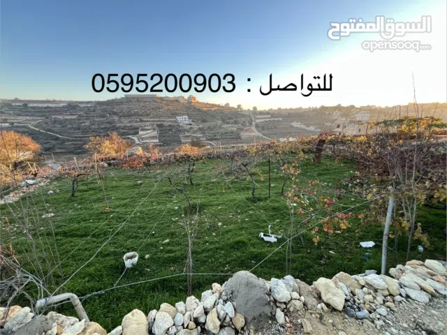 قطعة ارض مميزة وسعرها لقطة