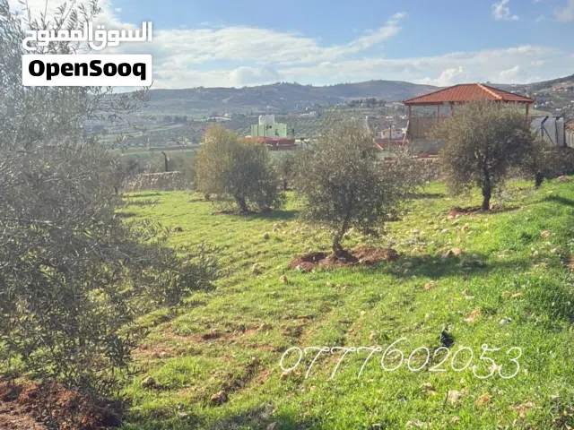 Farm Land for Sale in Jerash Unaybah