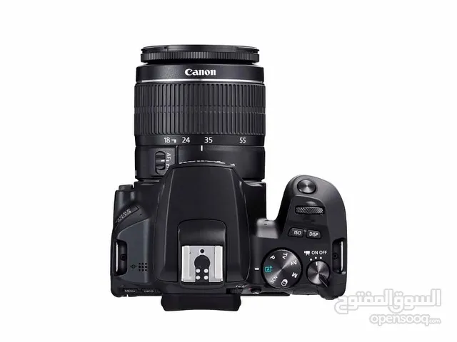 Canon 250D + 2 zoom lenses + 1 prime lens and more…
