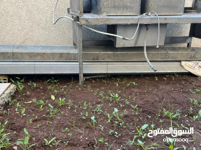 Bach rido w lavabo ba9yin jdad w5damin