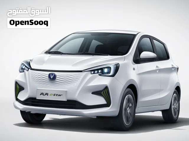 2023 Changan E-Star