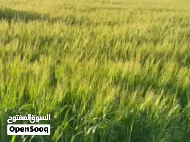 Farm Land for Sale in Jerash Other