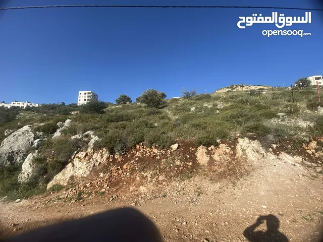 ارض للبيع في نابلس الجديدة
