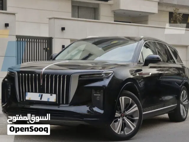 2021 هونج تشي E-HS9