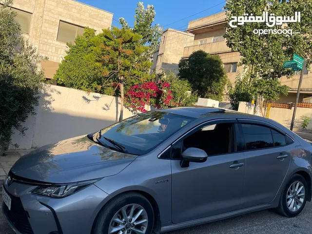 كورولا 2019 فل وفتحه بسعر مغري