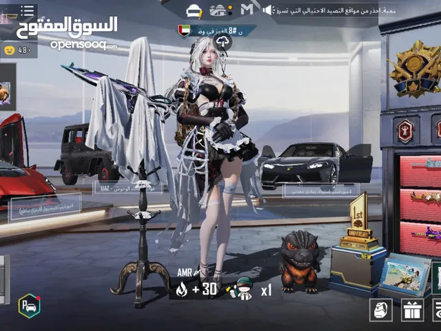 Pubg Accounts and Characters for Sale in Abu Dhabi