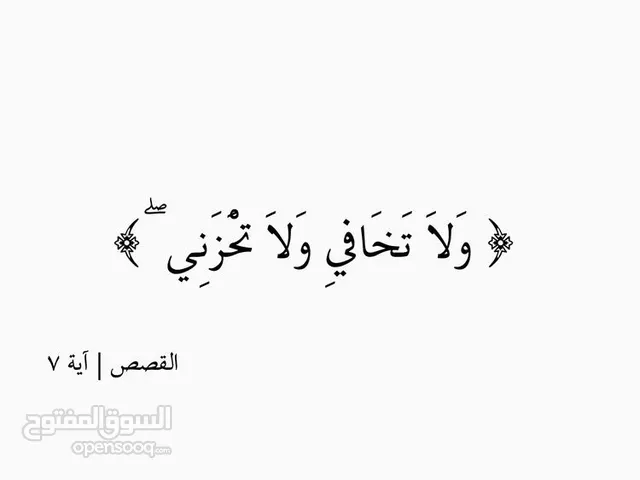 شادية ابوحمد