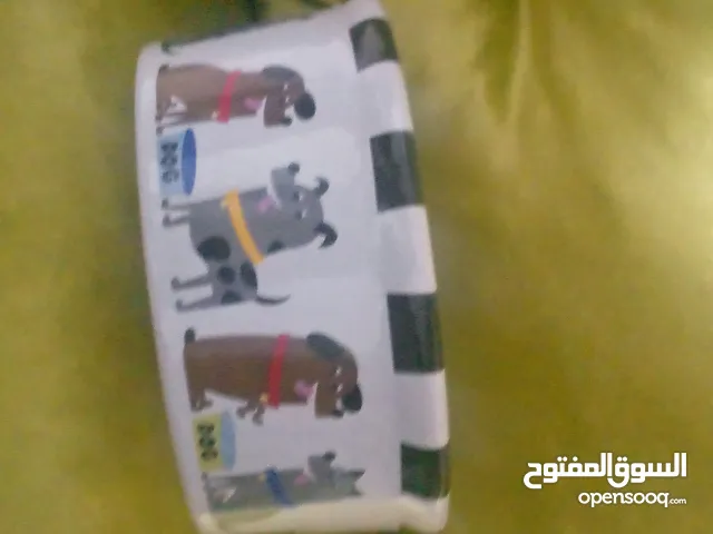 صحن ماء وطعام