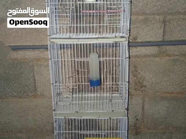 سلاكة ثلاثة أدوار خاليه من العيوب لاصفره مكسوره لا شئ