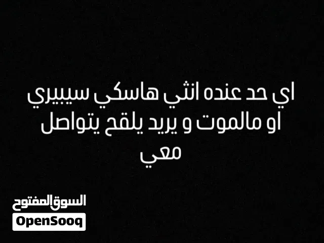مطلوب انثى مالموت او هاسكي سايبيري لتلقيح