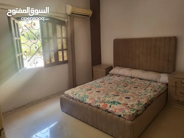 شقه مفروشه بقريه النورس السياحيه