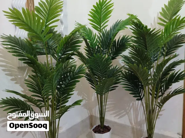 شجر اريكا صناعي للبيع