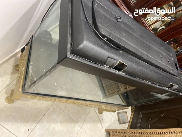 حوض سمك كبير