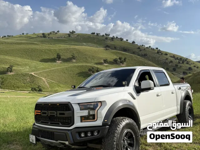 2017 Ford F-150 Raptor