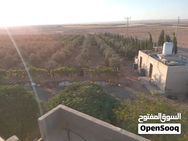 Mixed Use Land for Sale in Amman Al Jizah