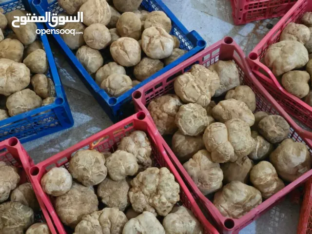 كمأة بنية وبيضاء (ترفاس)