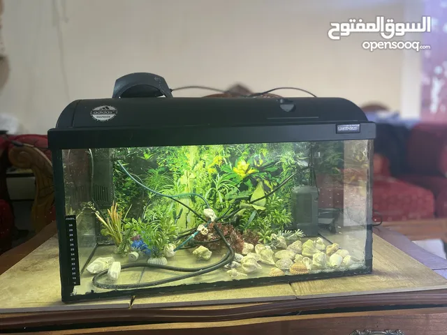 أكواريوم الماني