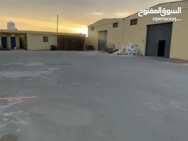 هناجر للايجار في طريق مشتل