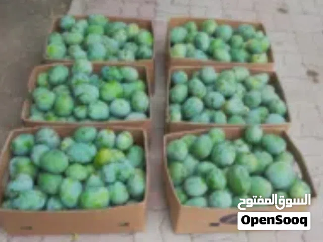 حدال برماسي