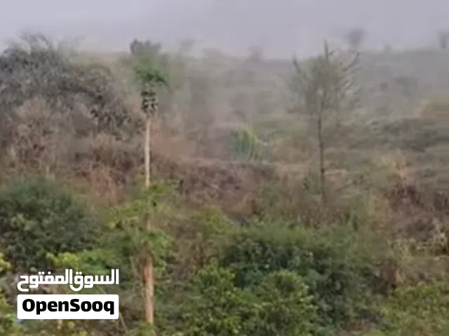 Farm Land for Sale in Ibb Other