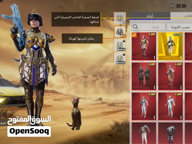 Pubg Accounts and Characters for Sale in Manama