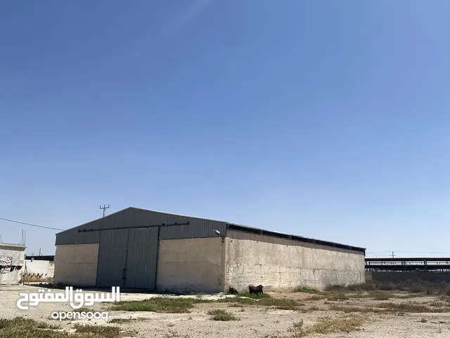 Farm Land for Sale in Zarqa Dhlail