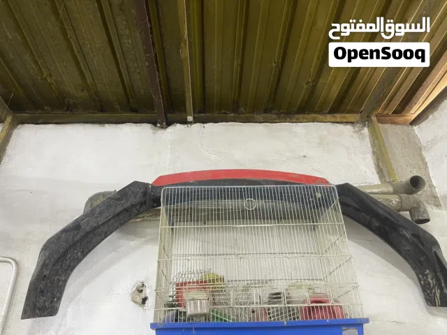 أكسسوارات المركبة