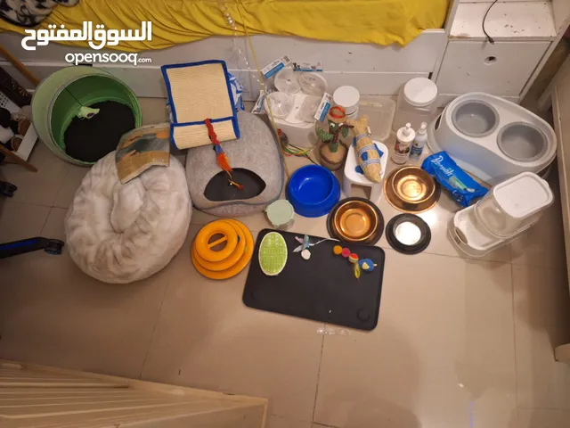اغراض قطط كثيره للبيع حالتها ممتازه شاريهم كلهم جداد وبعد معهم اثنين ليتر بوكس وجروف الفضلات