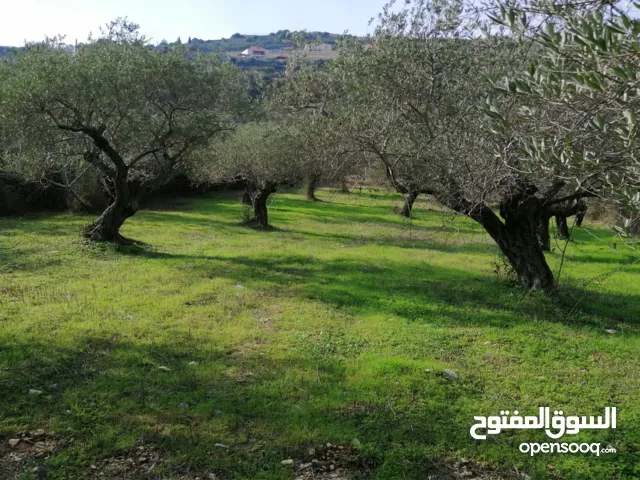 Land for sale Ain kfaa Jbeil Area 6400Sqm.