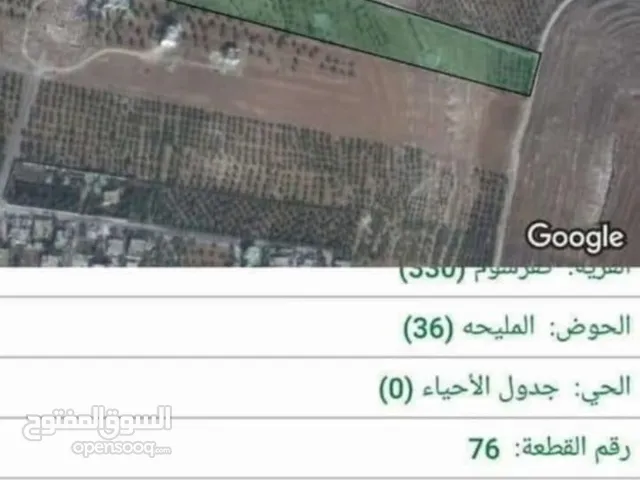 Farm Land for Sale in Irbid Kufr Sowm