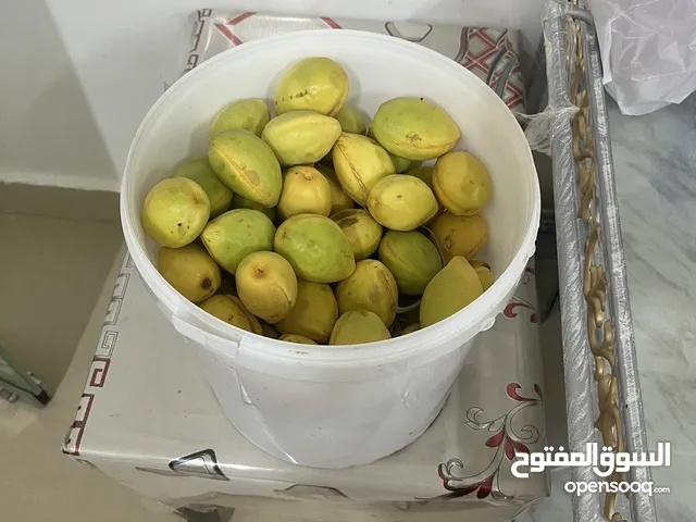 بيذام الابيض السكري