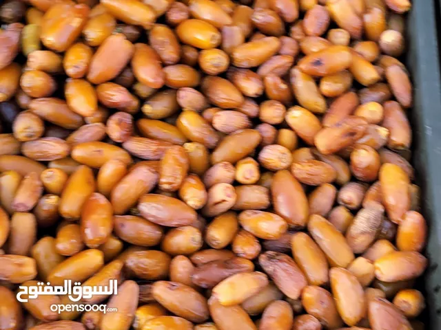 وصل التمر الأصيل.. دقلة درجة أولى متع السنة هذي!