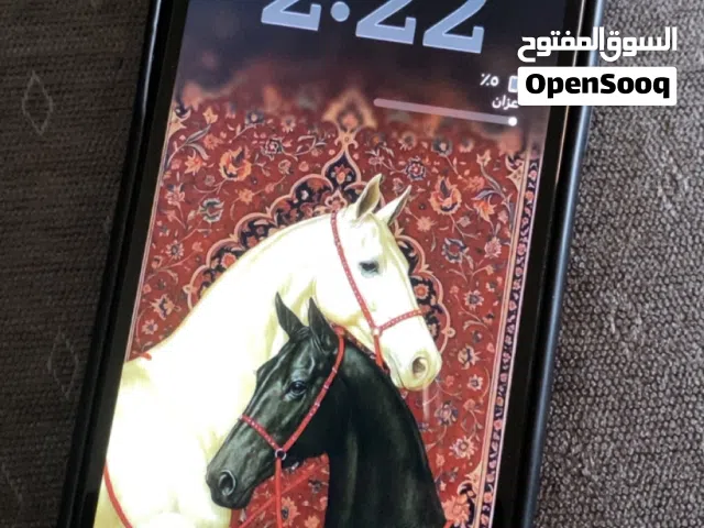 iPhone 11 Bro