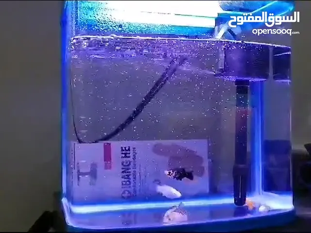 حوض أسماك زينه للبيع مستخدم فترة بسيطة