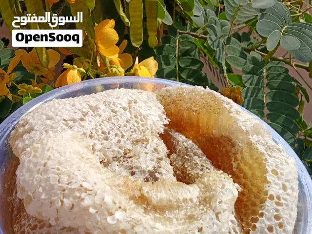 عسل ابو طويق حر