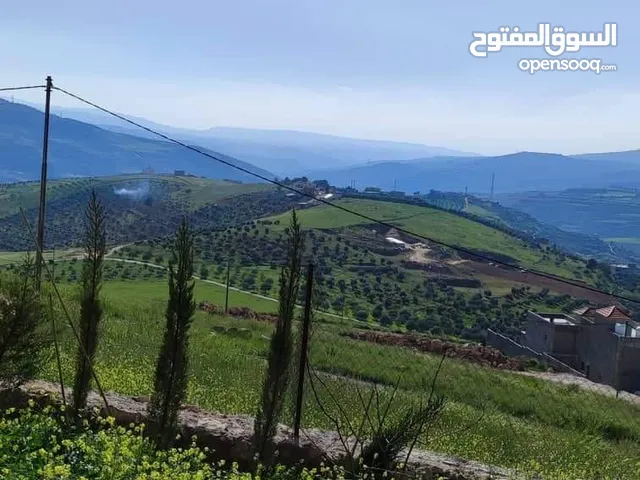 Residential Land for Sale in Jerash Al-Hashimiyyah