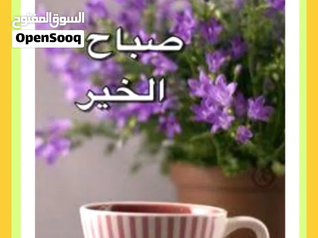 ابليكيشن سوق اكتروني جاهز للاستثمار والبيع