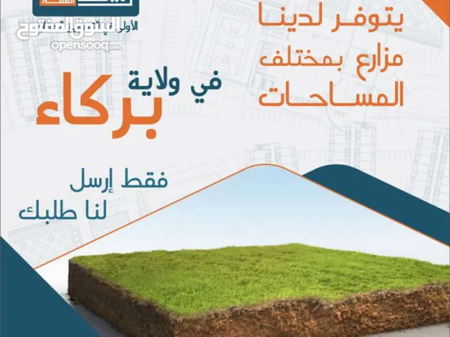 Farm Land for Sale in Muscat Al-Hail