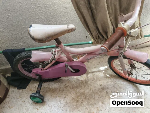 بسكليت اوروبي