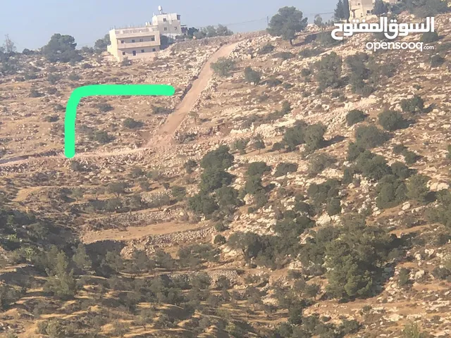 أرض مكشوفه عالية جايه على شارعين ترابي بعيده عن شارع المزفت 150 متر الموقع صرة